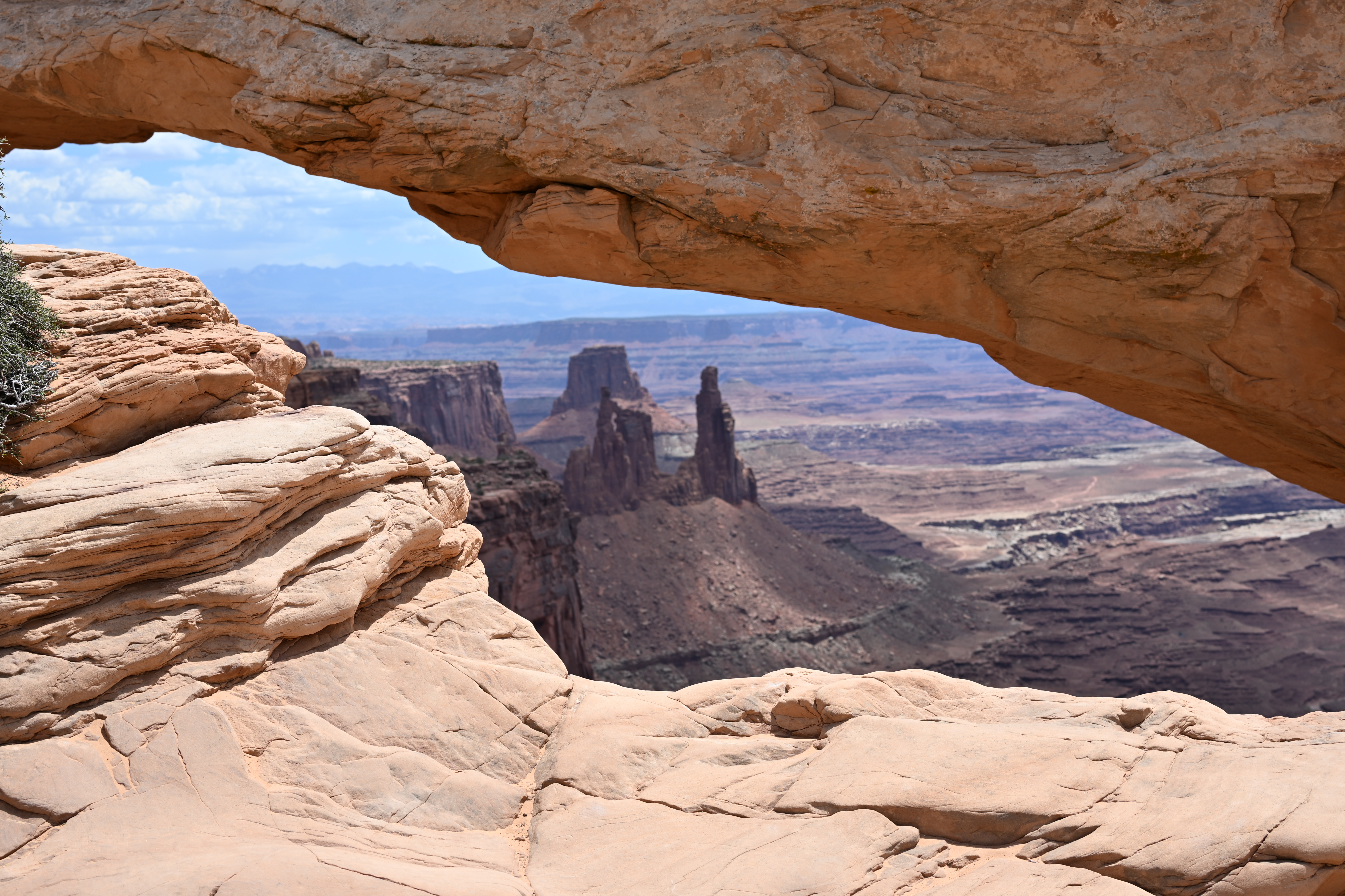 Mesa arch