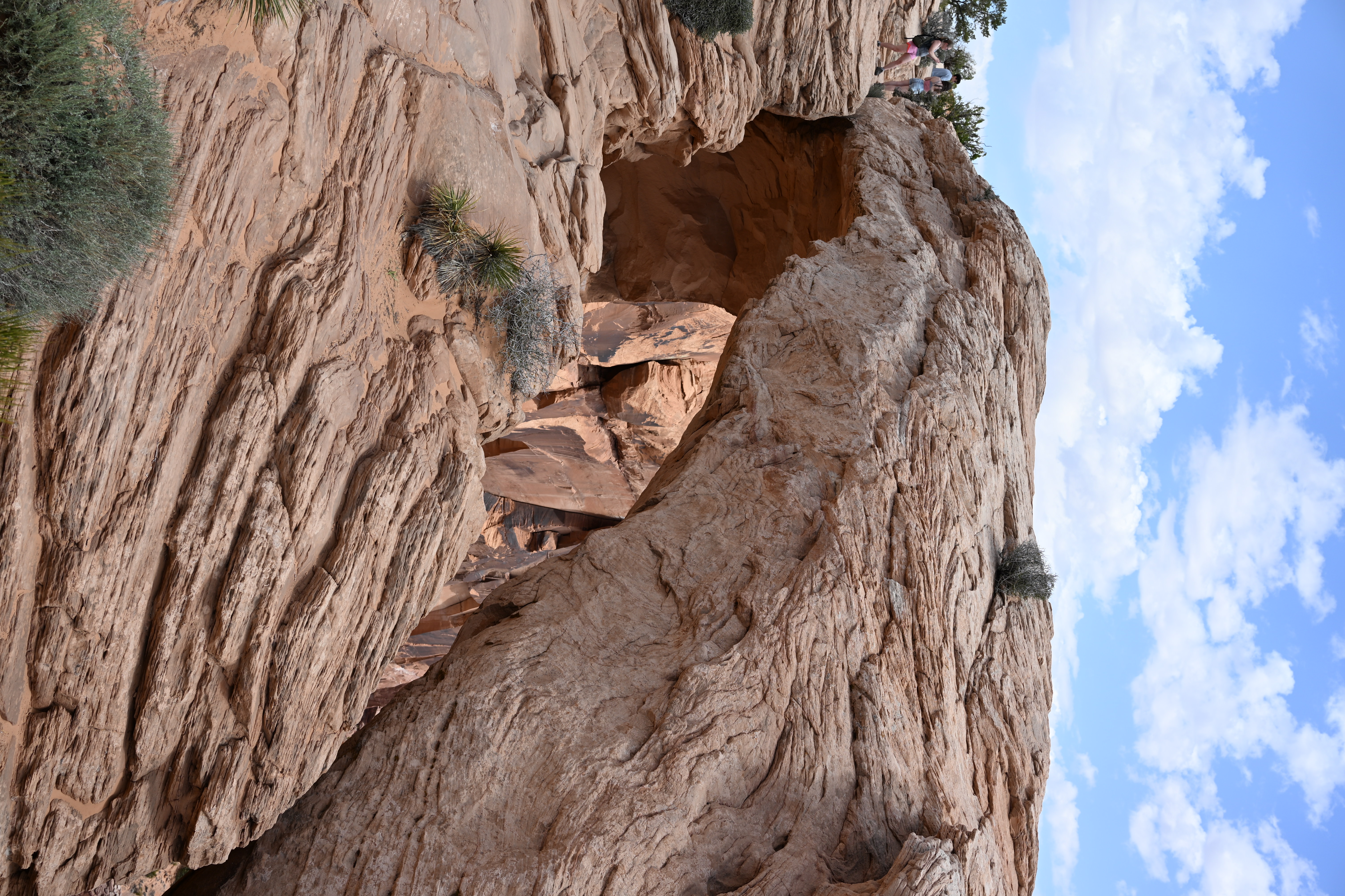 Mesa Arch