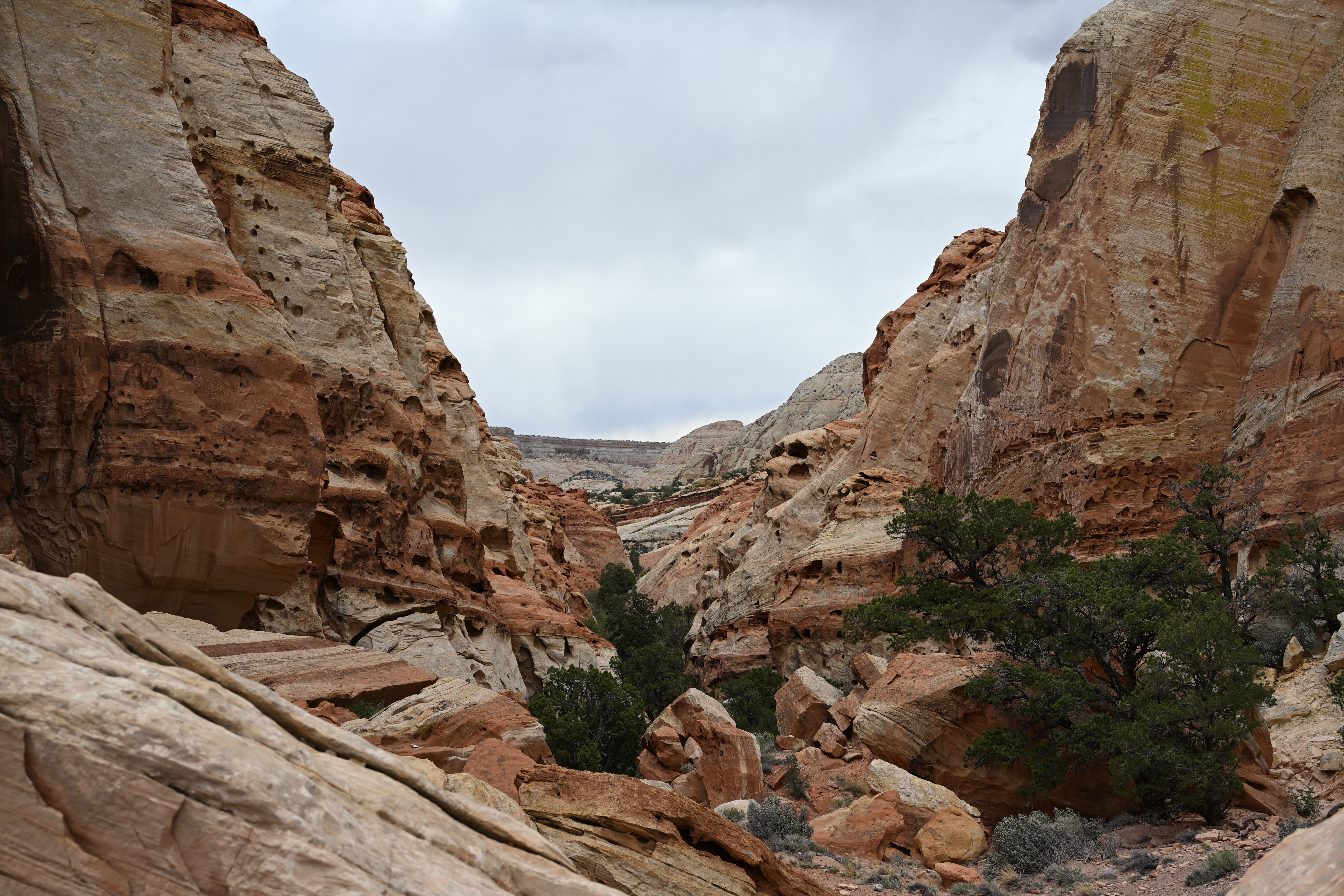 Cohab Canyon