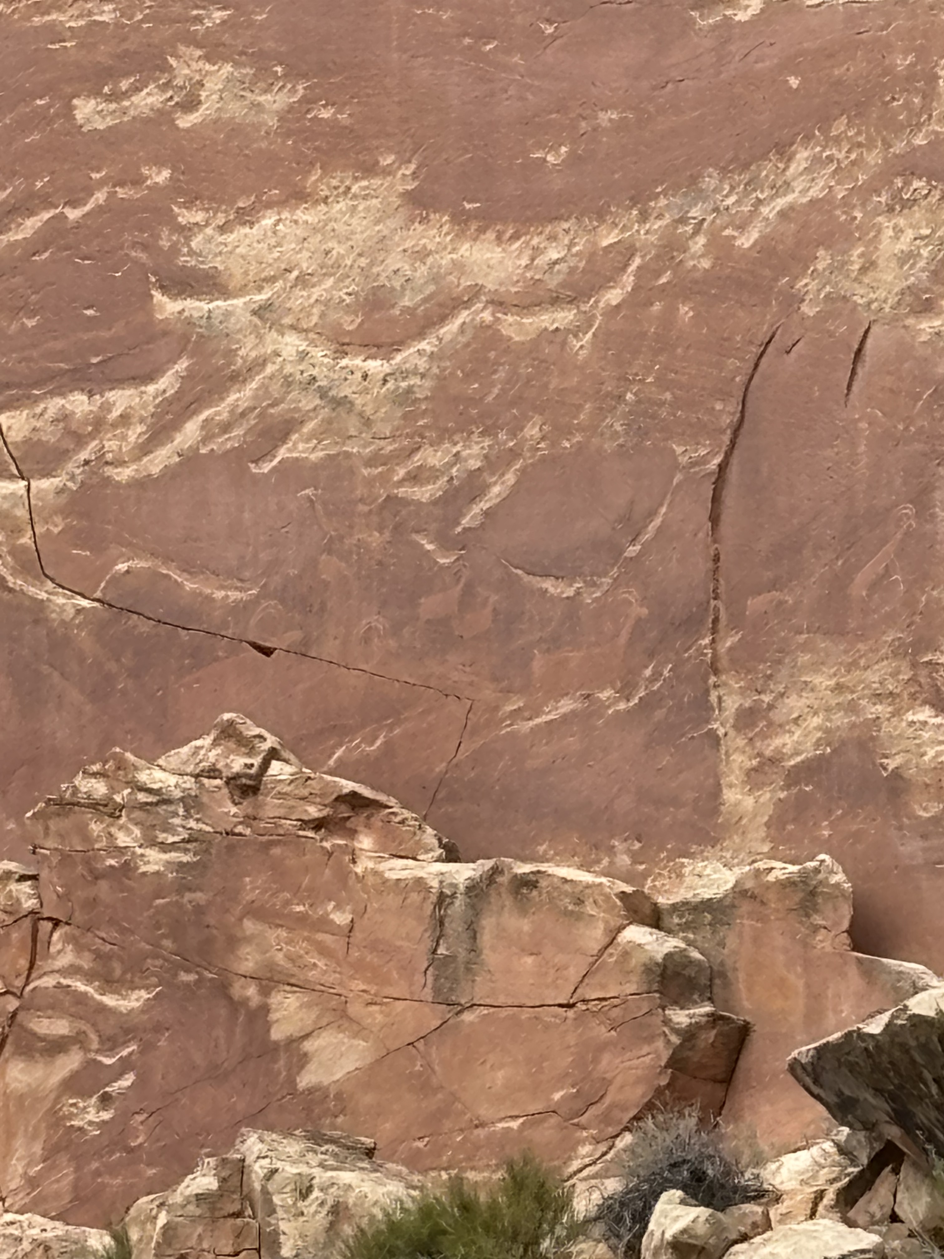 goat petroglyphs