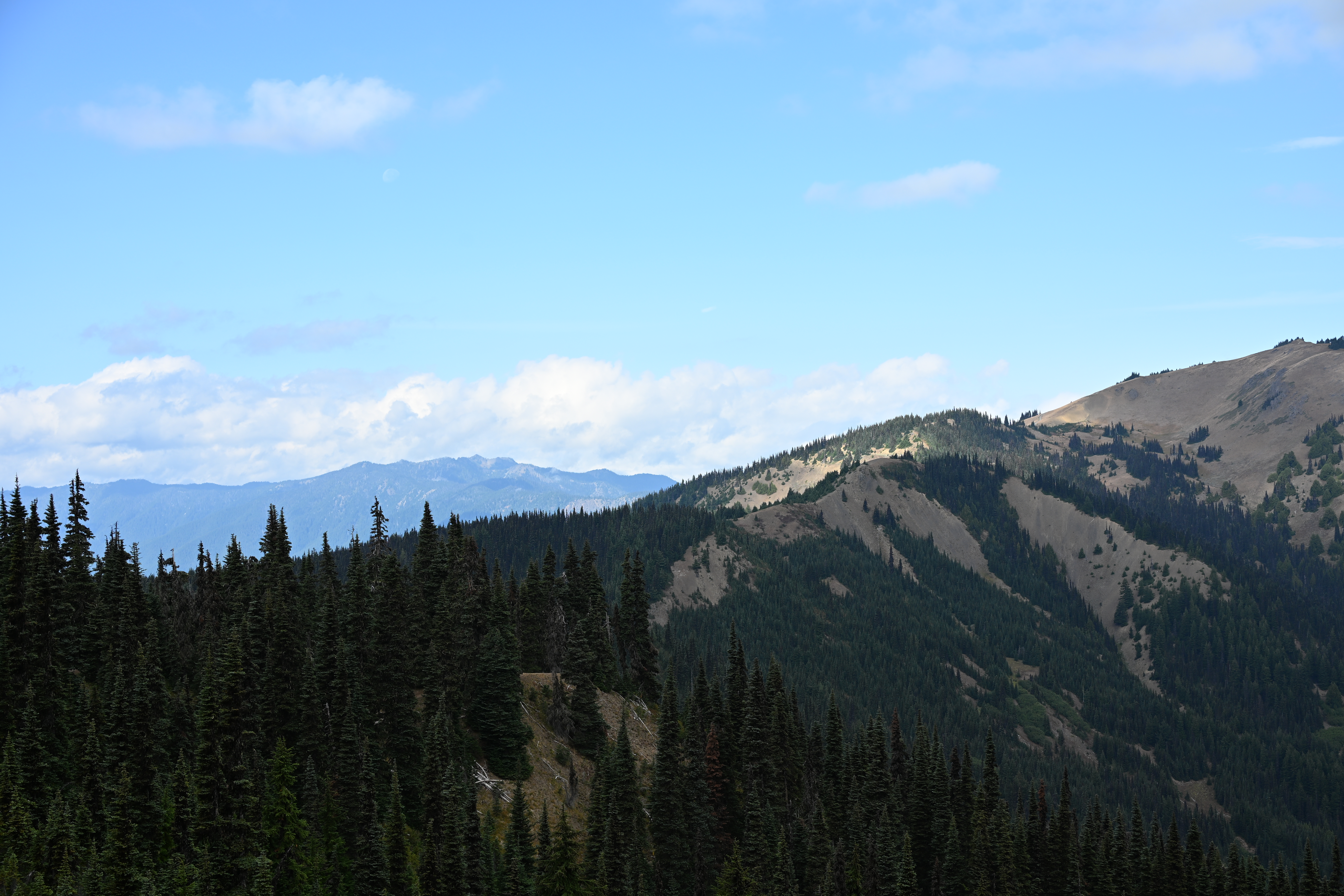 Panoramic mountain views from Hurricane Ridge in Olympic National Park