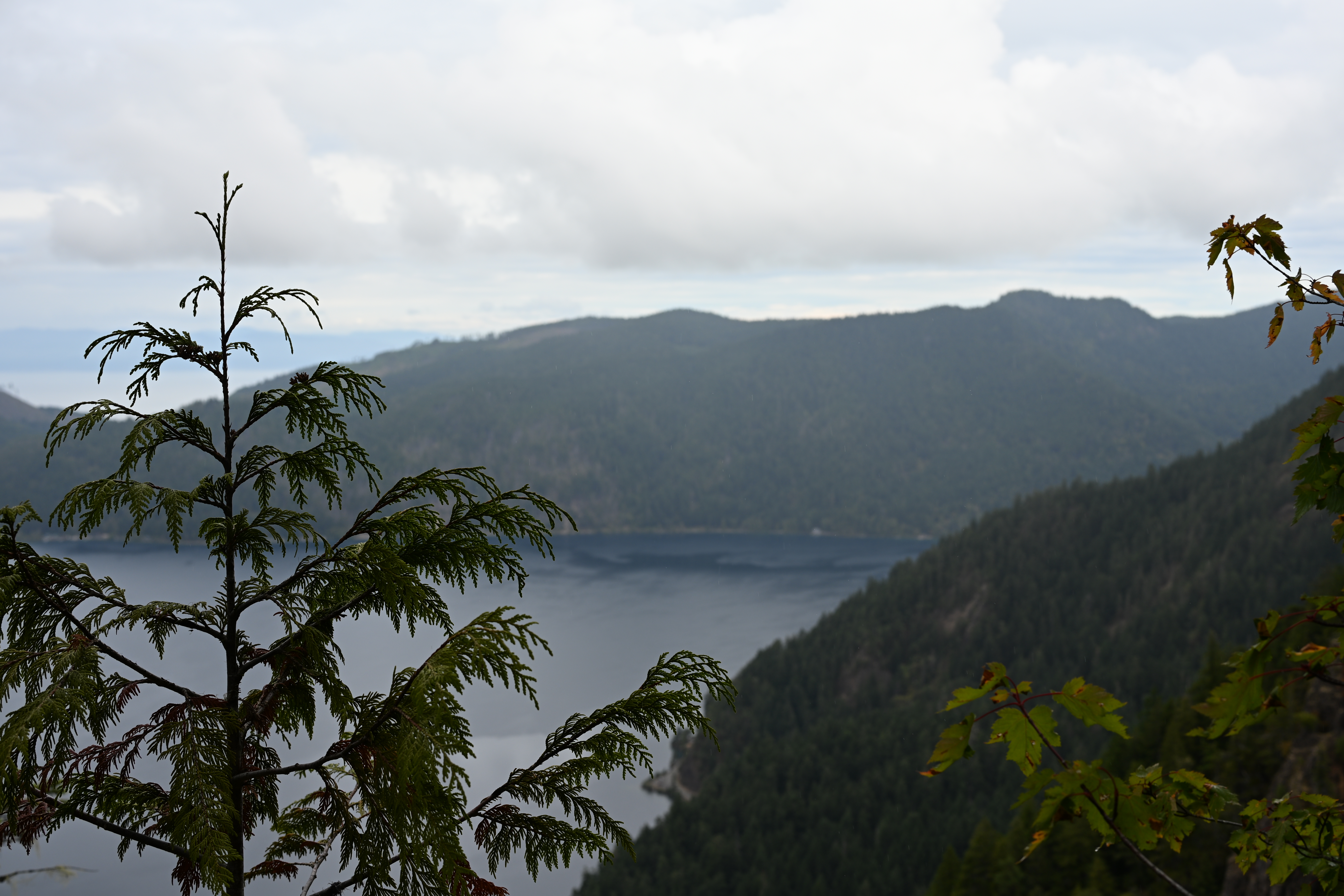 View of the lake from the top of Lake Crescent's Mt Storm King Hike
