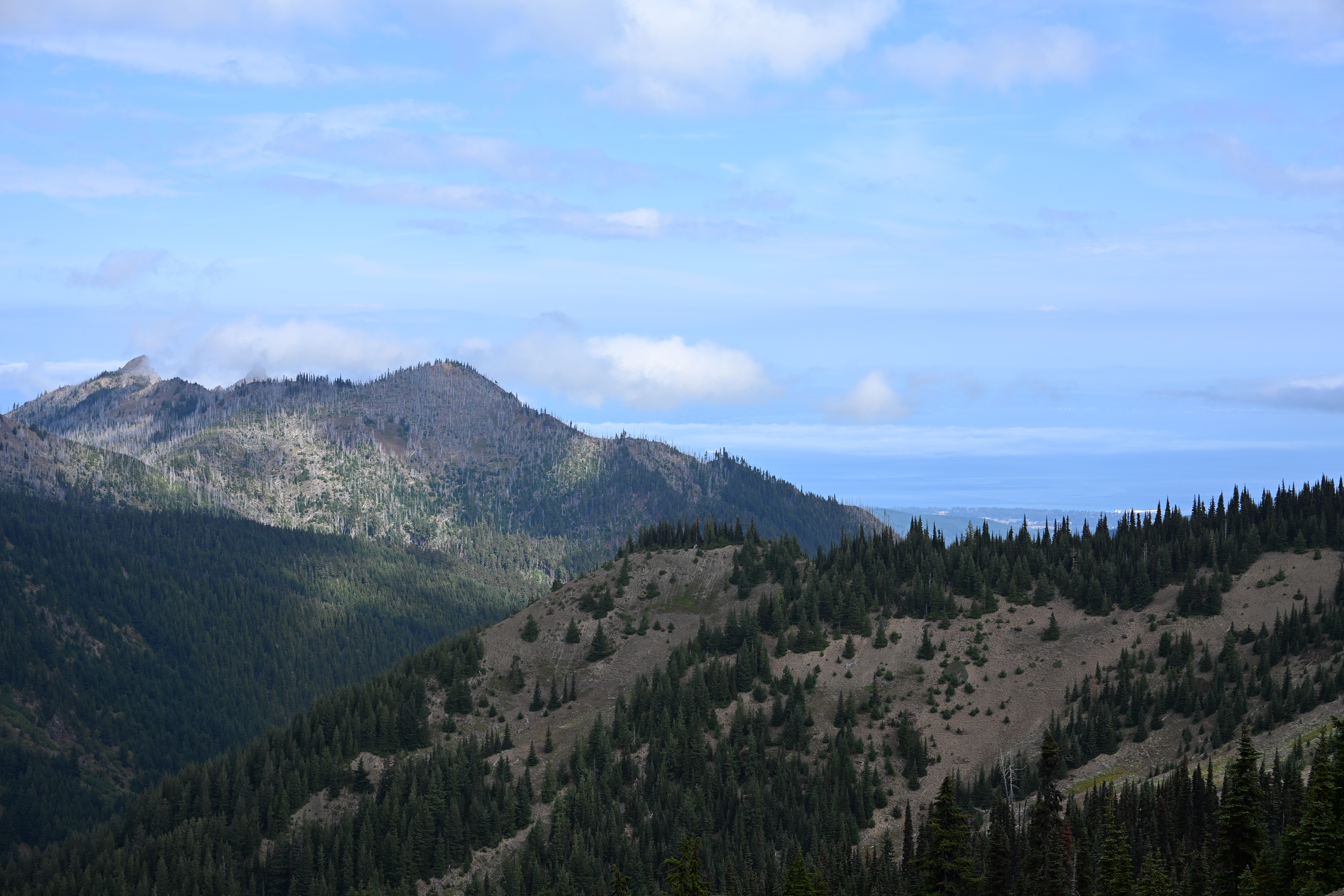 Panoramic mountain ridges and valleys from Hurricane Ridge viewpoint