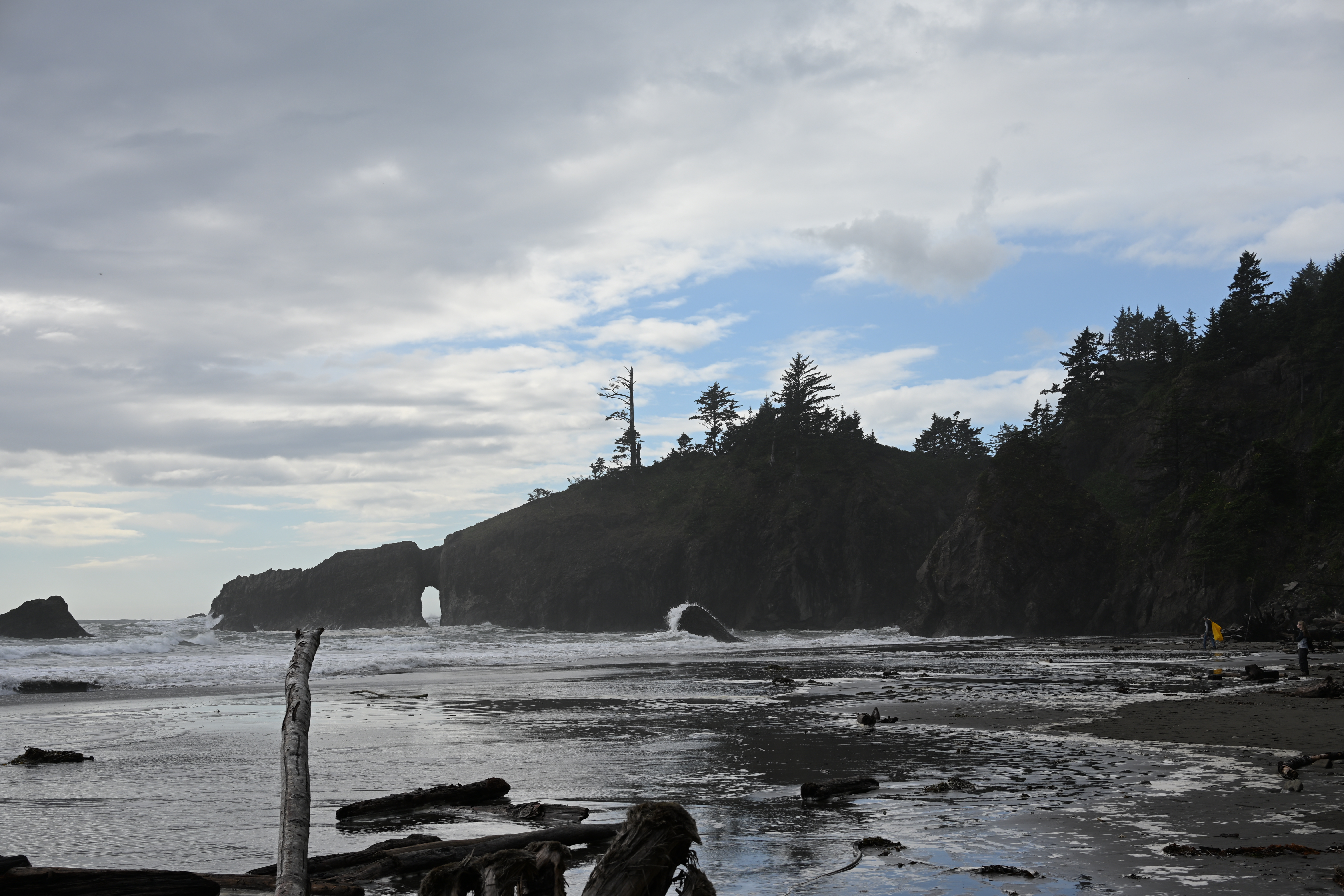 Natural sea arch "hole in the wall" at Second Beach Olympic National Park