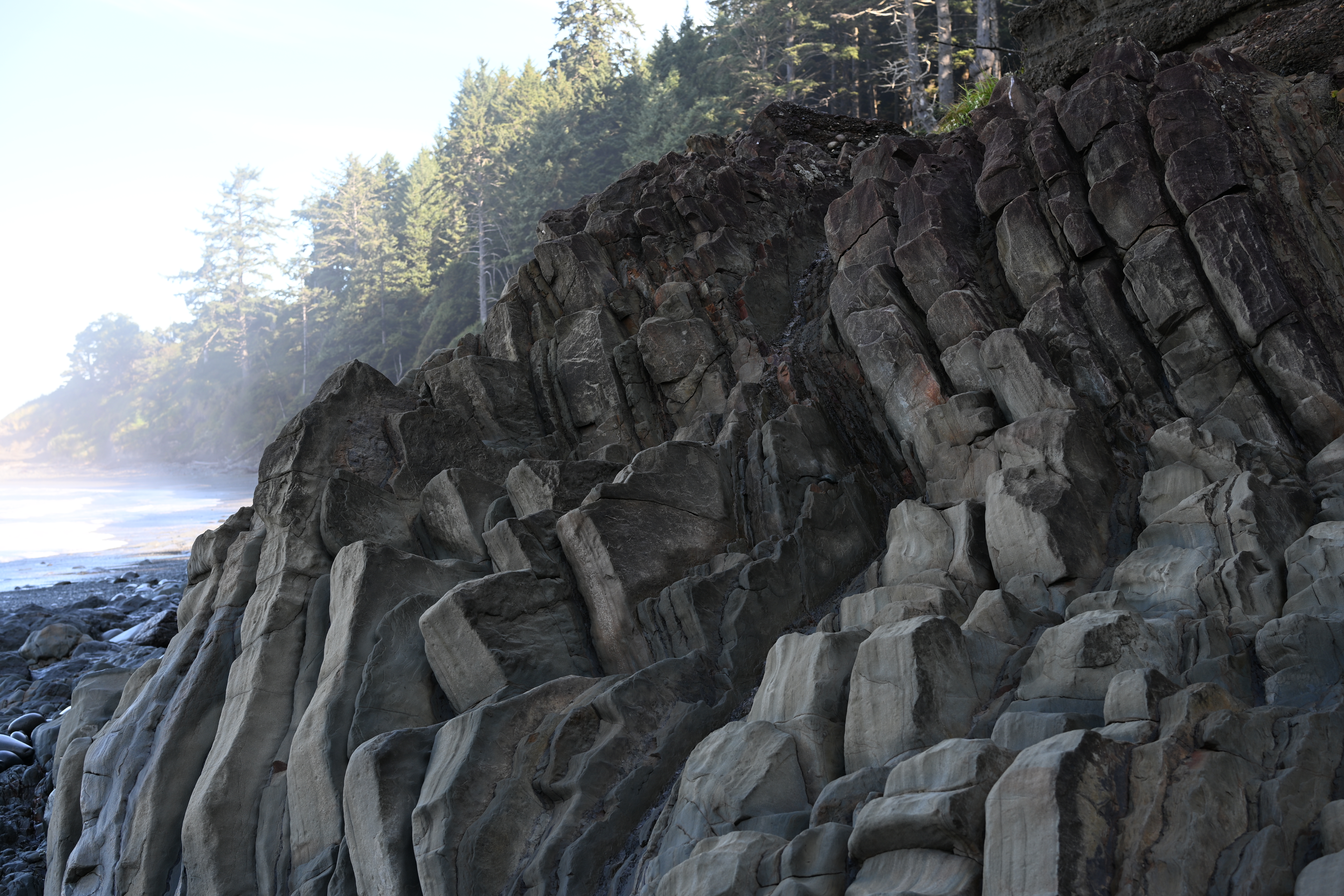 Unique sea stack rock formations along Kalaloch Beach